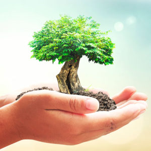 Treinamento do programa de educação ambiental para trabalhadores – PEAT